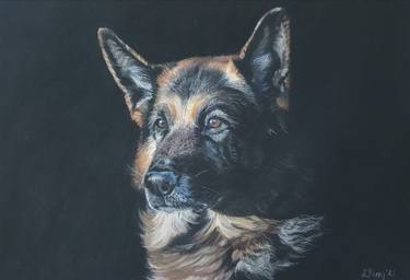 Print of Photorealism Animal Drawings by Sarah Perry