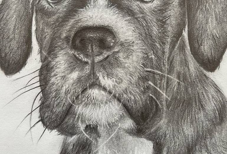 Original Realism Animal Drawing by Mahroo Bagheri