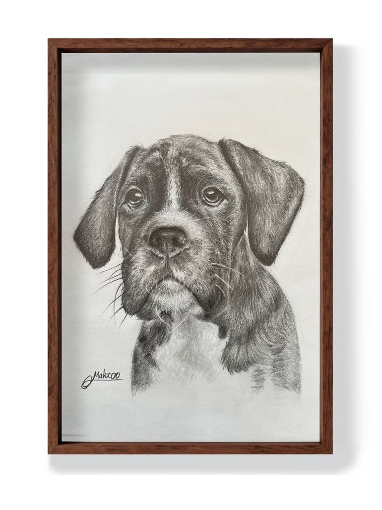 Original Realism Animal Drawing by Mahroo Bagheri