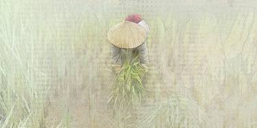 Original Digital Art Rural Life Mixed Media by Michel Arnault