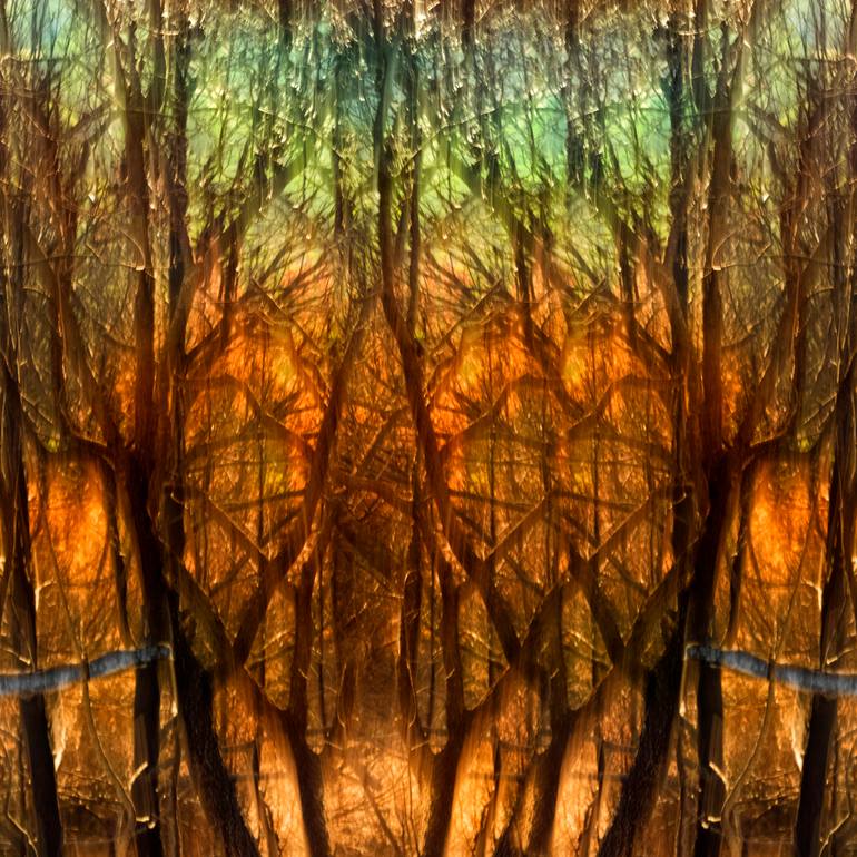 Original Abstract Nature Photography by Andrea Rosti