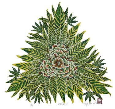Original Fine Art Botanic Printmaking by Michael E Voss
