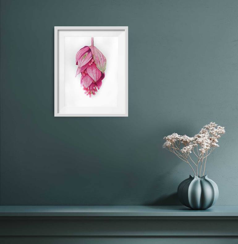 Original Illustration Botanic Painting by Natalia Buhaienko