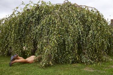 Under The Tree thumb