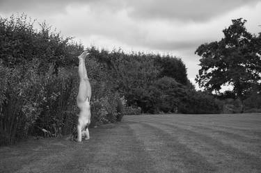 Handstand thumb