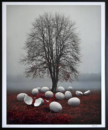 Original Conceptual Tree Photography by Bettina Dupont
