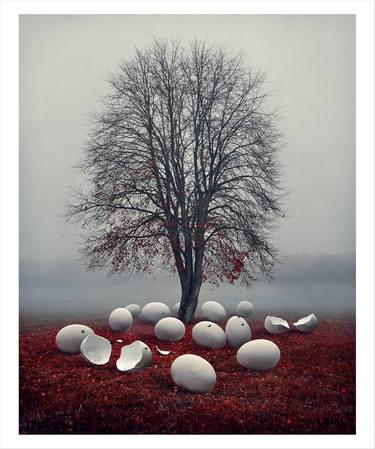 Original Conceptual Tree Photography by Bettina Dupont