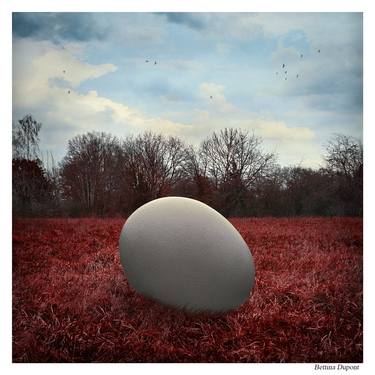 Original Nature Photography by Bettina Dupont