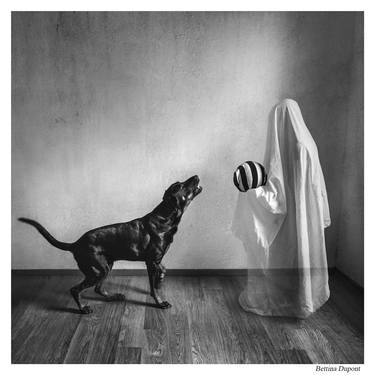 Original Dogs Photography by Bettina Dupont