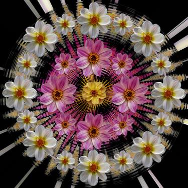 Original Abstract Floral Photography by Sandra Pipken