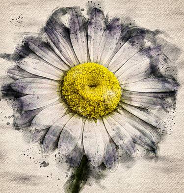 Original Abstract Floral Photography by Sandra Pipken