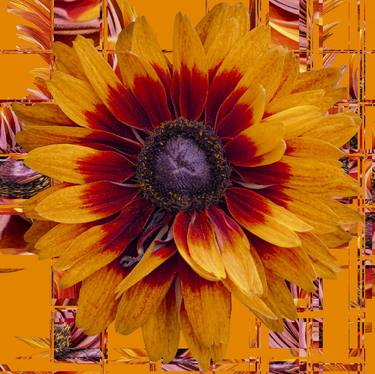 Original Abstract Floral Digital by Sandra Pipken