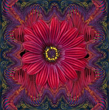 Original Abstract Floral Digital by Sandra Pipken