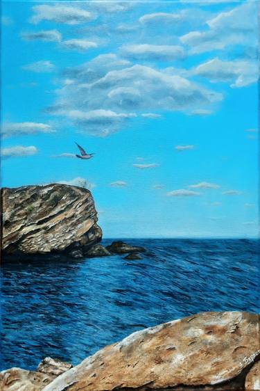 Sea, rocks and seagull thumb