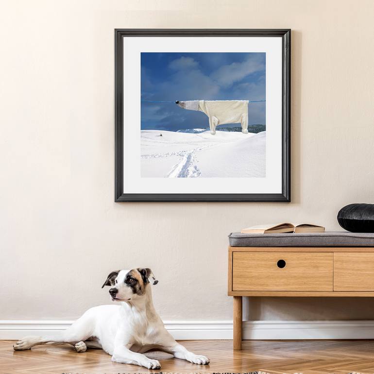 Original Conceptual Animal Photography by Helga Stentzel