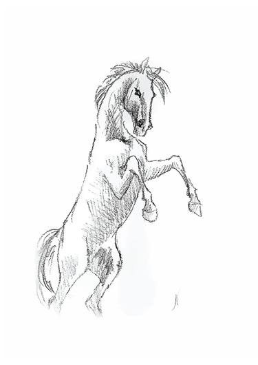 Print of Realism Horse Drawings by Natalia Mikhaylina