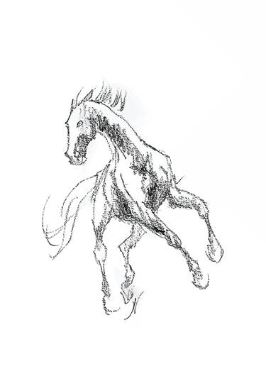 Print of Realism Horse Drawings by Natalia Mikhaylina