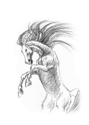 Print of Illustration Horse Drawings by Natalia Mikhaylina
