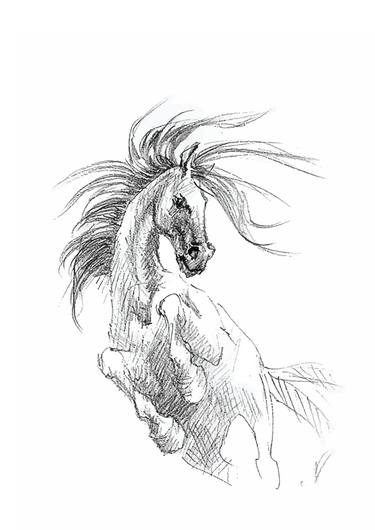 Print of Illustration Horse Drawings by Natalia Mikhaylina