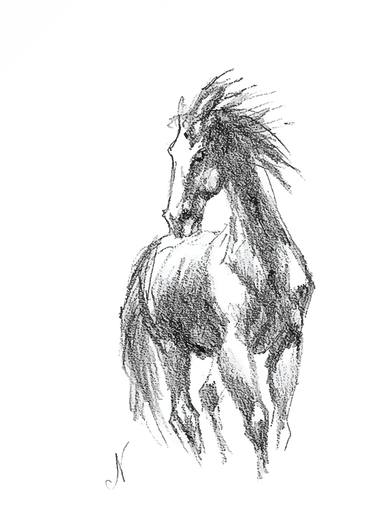 Print of Realism Horse Drawings by Natalia Mikhaylina