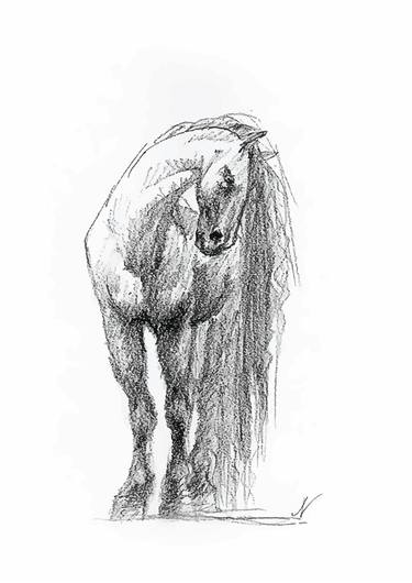Print of Horse Drawings by Natalia Mikhaylina