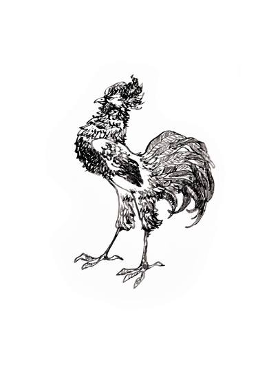 Rooster black and white drawing thumb