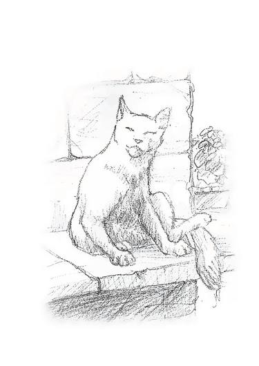 Print of Cats Drawings by Natalia Mikhaylina