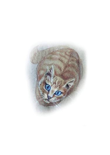 Print of Realism Cats Drawings by Natalia Mikhaylina