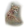 view additional image 1
