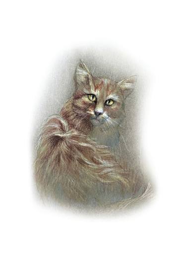 Print of Cats Drawings by Natalia Mikhaylina
