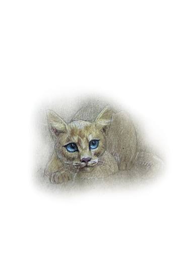 Original Realism Cats Drawings by Natalia Mikhaylina