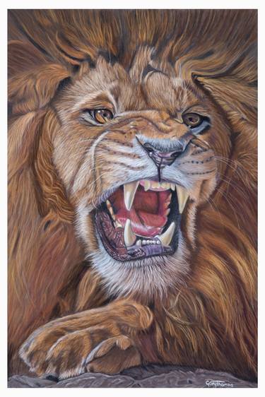 Original Fine Art Animal Drawings by Gary Thomas