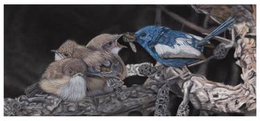 Original Fine Art Animal Drawings by Gary Thomas