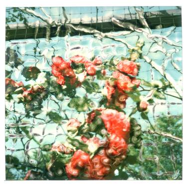 Print of Abstract Expressionism Still Life Photography by Ann Stratton