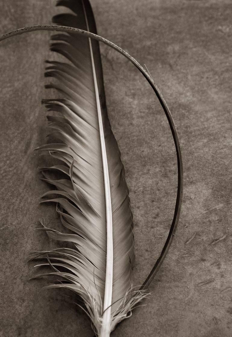 Original Conceptual Still Life Photography by Ann Stratton