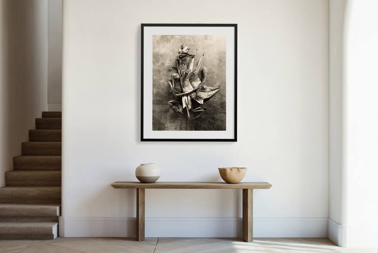 Original Abstract Expressionism Still Life Photography by Ann Stratton