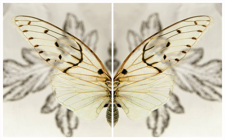 Original Abstract Nature Photography by Ann Stratton
