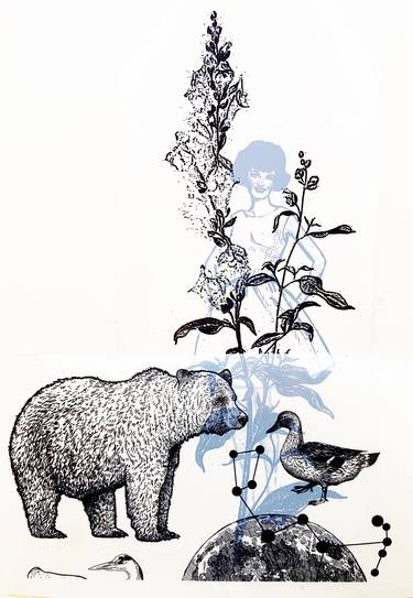Original Illustration Nature Collage by Amy Fitzsimons