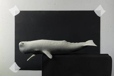La balena impolverata - The dusty whale thumb