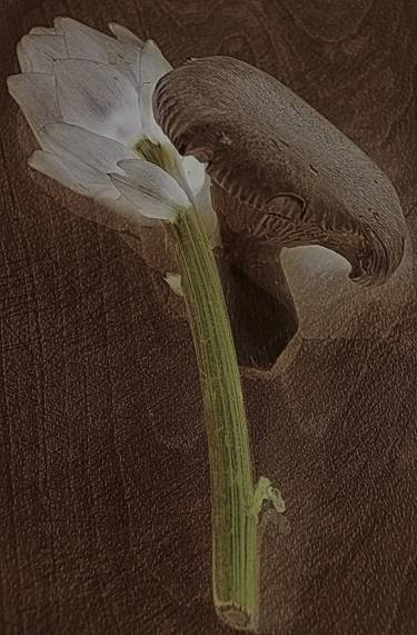 Original Fine Art Botanic Photography by Olena Tarnovska