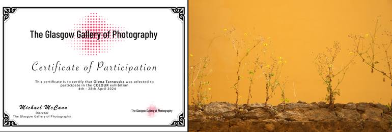 Original Other Botanic Photography by Olena Tarnovska