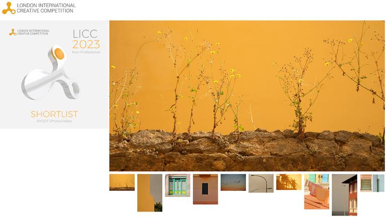 Original Other Botanic Photography by Olena Tarnovska