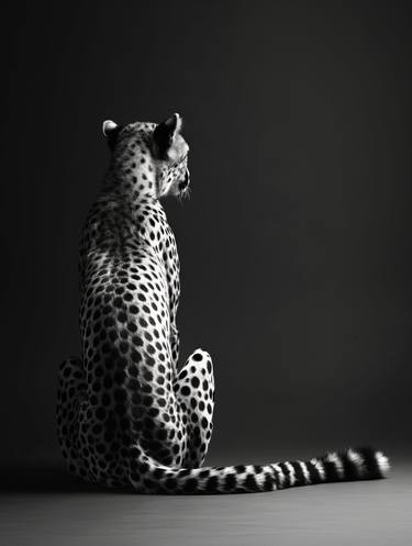 Original Animal Photography by Shaon Khalid