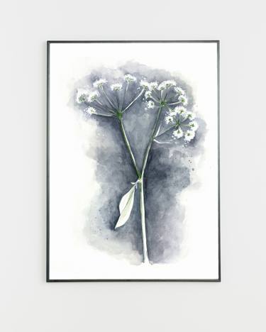 Botanical watercolor Queen Anne's Lace thumb