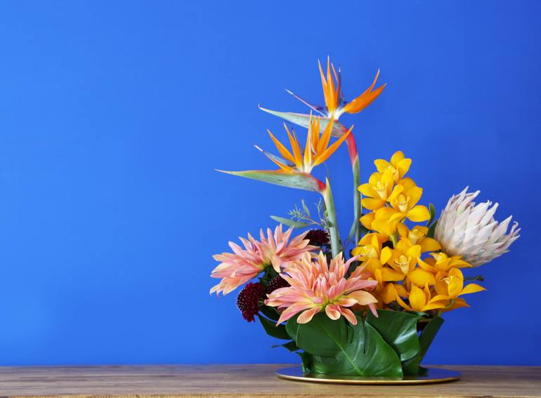 Original Contemporary Floral Photography by Cenefi Design