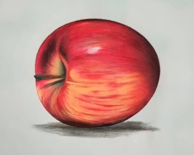 realistic apple drawing