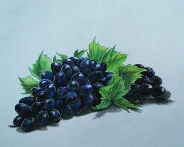 Realistic GRAPES drawing with colour pencils thumb