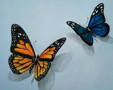 realistic BUTTERFLIES drawing with colour pencils thumb