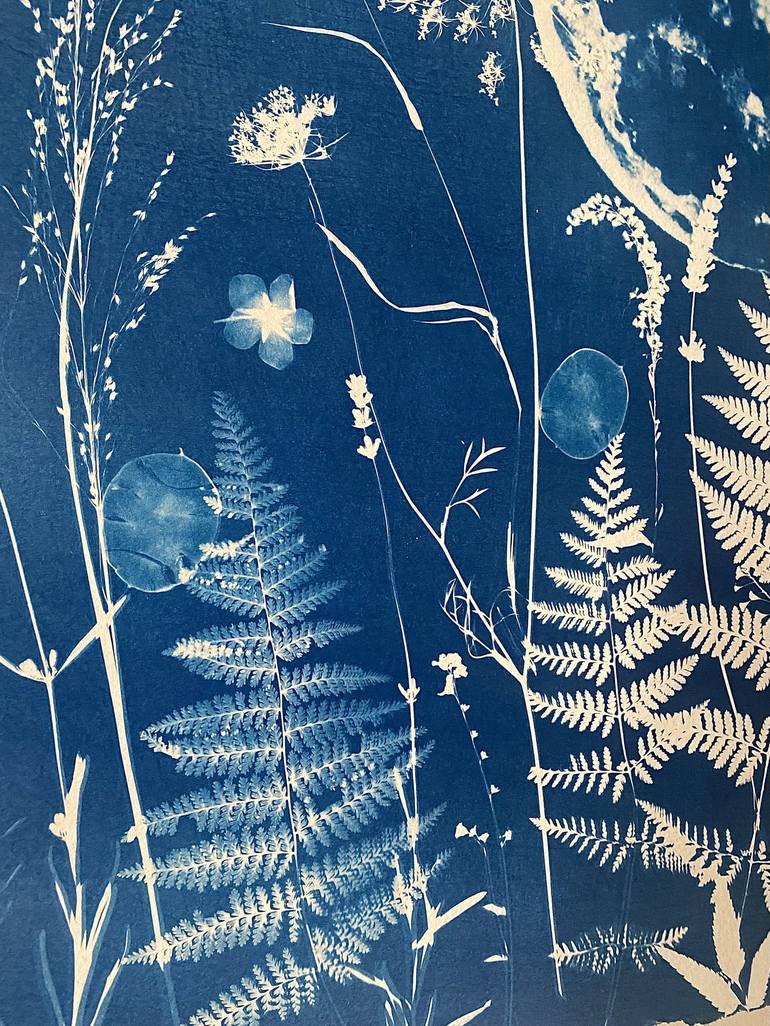 Original Fine Art Nature Printmaking by Stevie Oliver