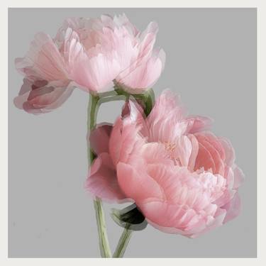 Original Contemporary Floral Printmaking by Dr Natalia Jezova